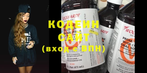 шишки Богородицк
