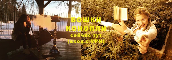 шишки Богородицк