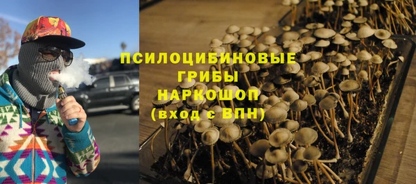 дурь Богданович