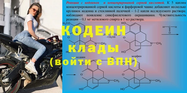 дурь Богданович