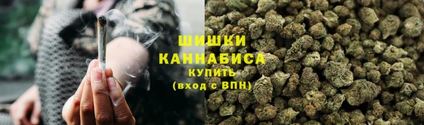 шишки Богородицк