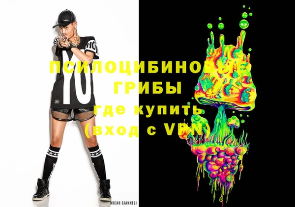 шишки Богородицк
