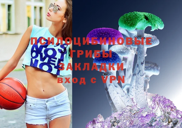 дурь Богданович