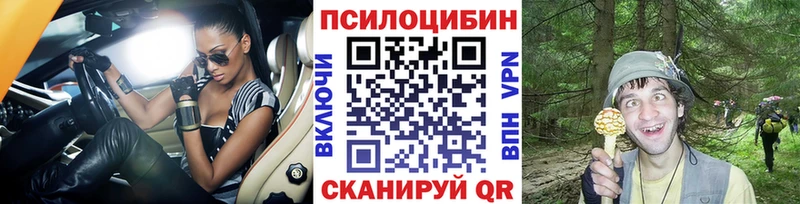 shop телеграм  Кондопога  Галлюциногенные грибы MAGIC MUSHROOMS 